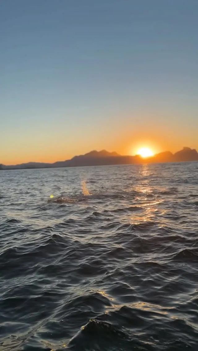 A trajetória de Renato no mar